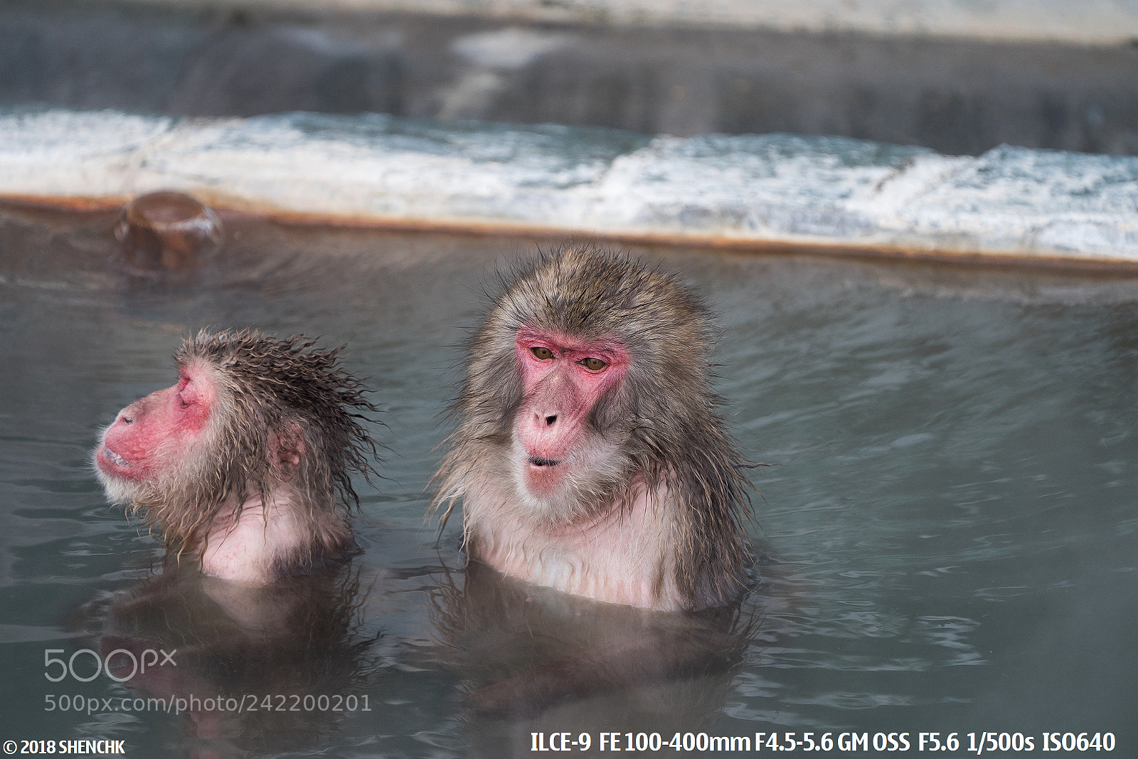 Sony a9 sample photo. Enjoy the spa photography
