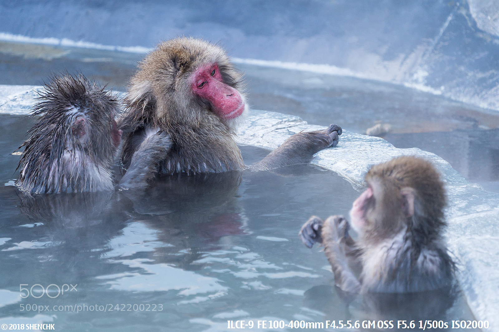 Sony a9 sample photo. Enjoy the spa photography