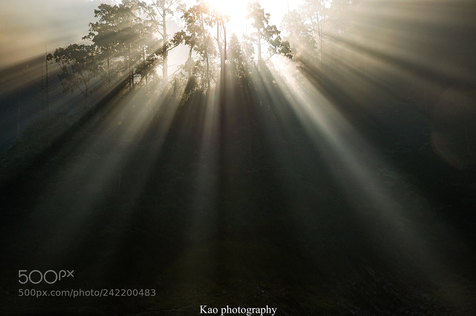 Nikon D90 sample photo. Sunrise photography
