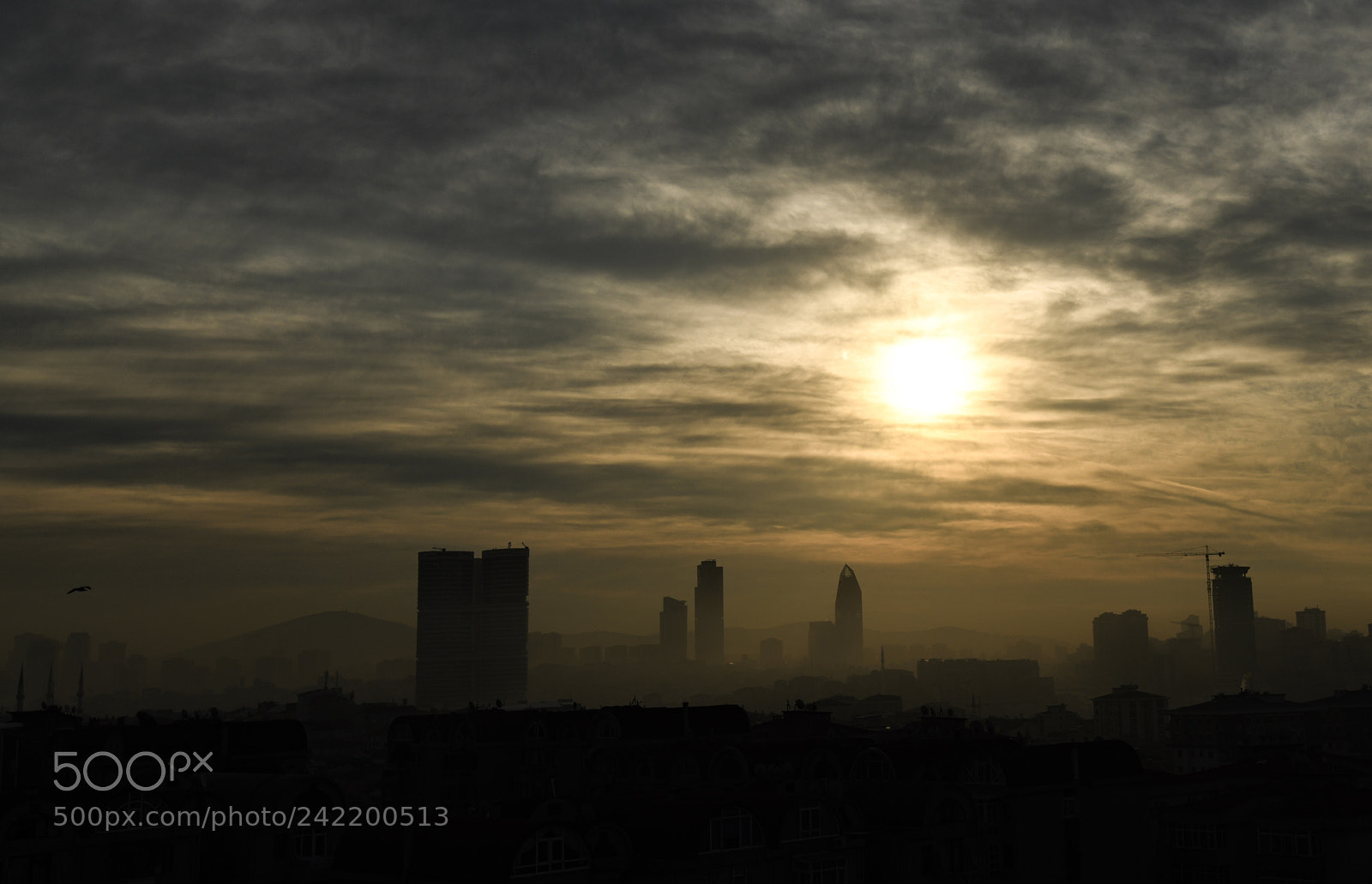 Nikon D850 sample photo. Winter sun photography