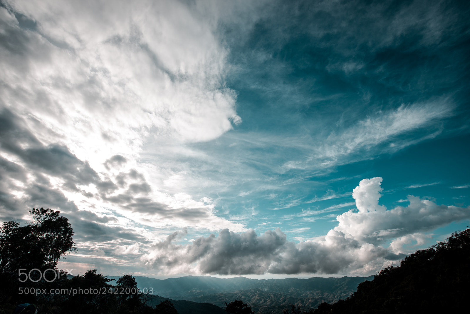 Nikon D800E sample photo. Cloudy, first morning at photography