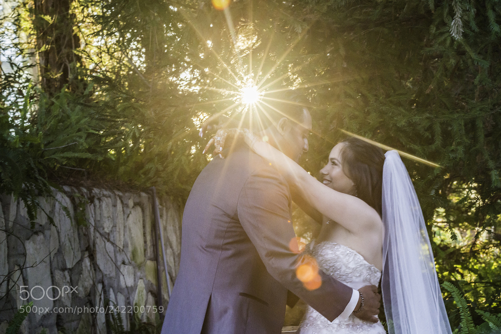 Nikon D800 sample photo. Untitled photography