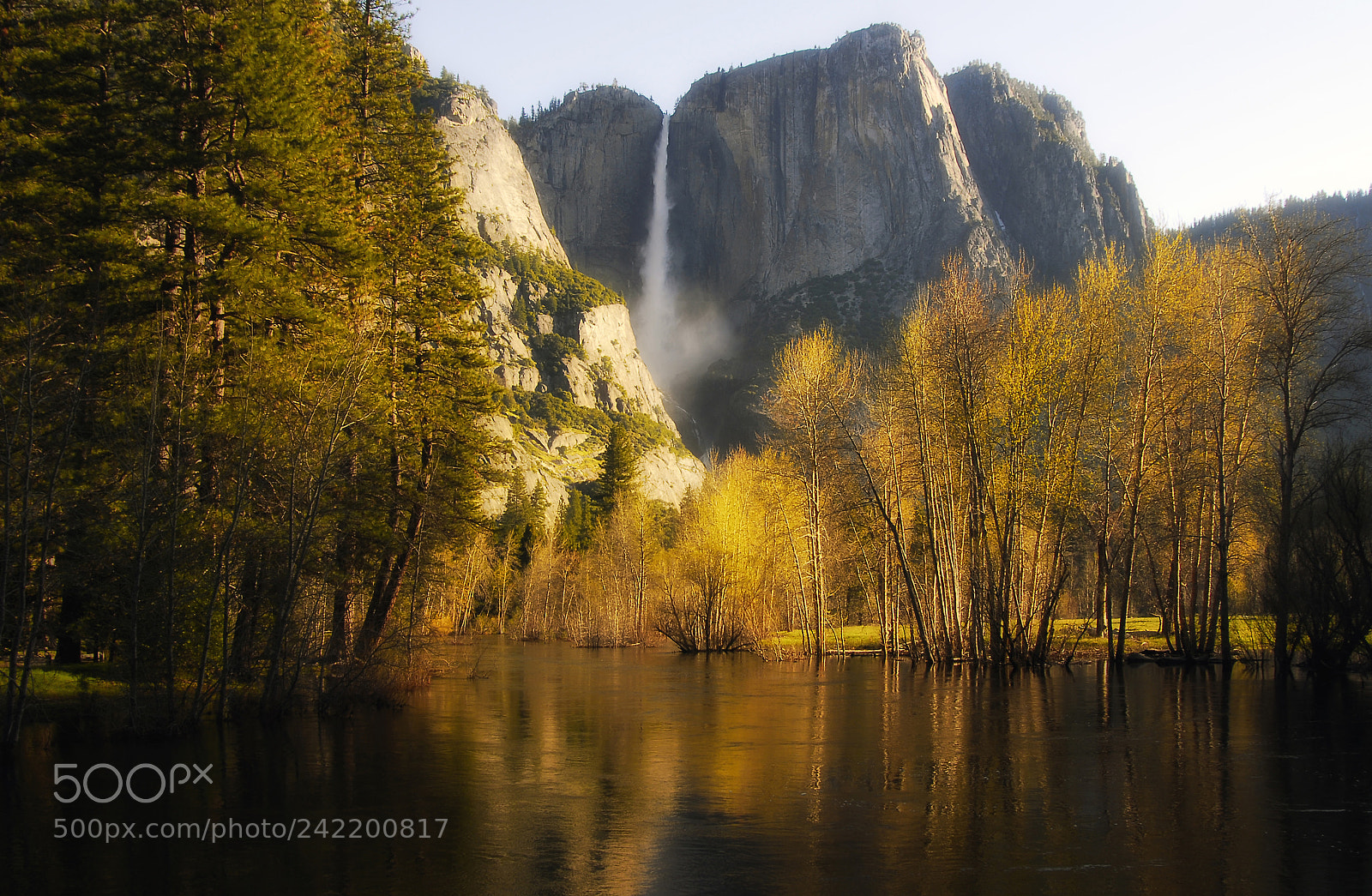 Nikon D200 sample photo. Gold in yosemite photography