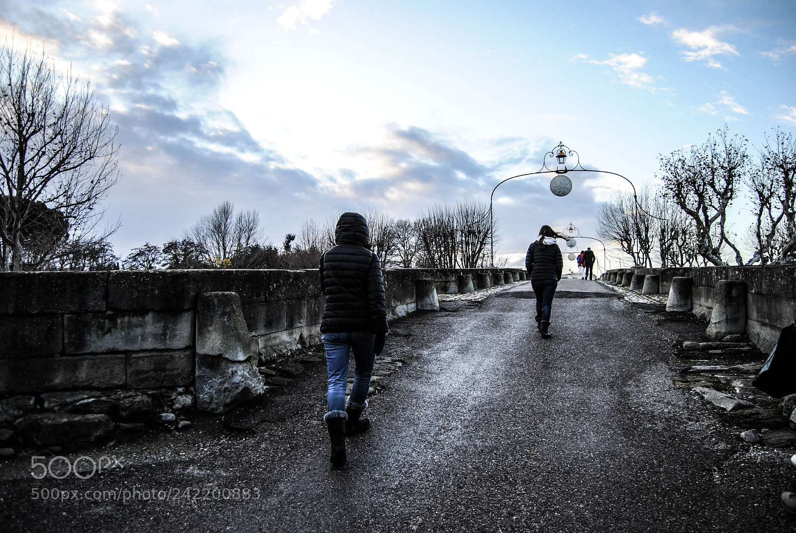 Nikon D3000 sample photo. Bridge photography