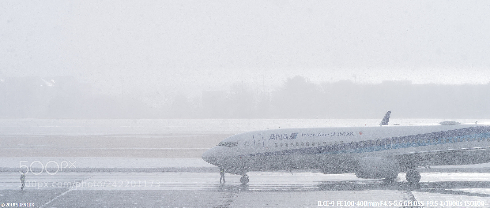 Sony a9 sample photo. The snowy day photography