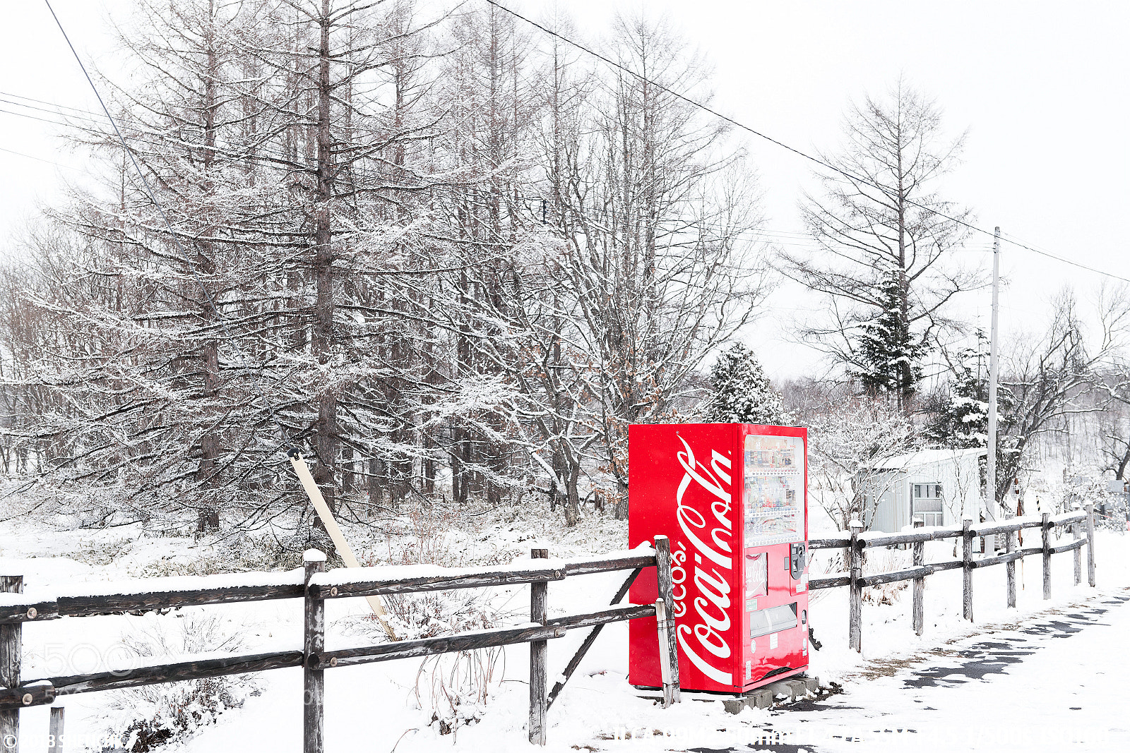 Sony a99 II sample photo. The snowy day photography