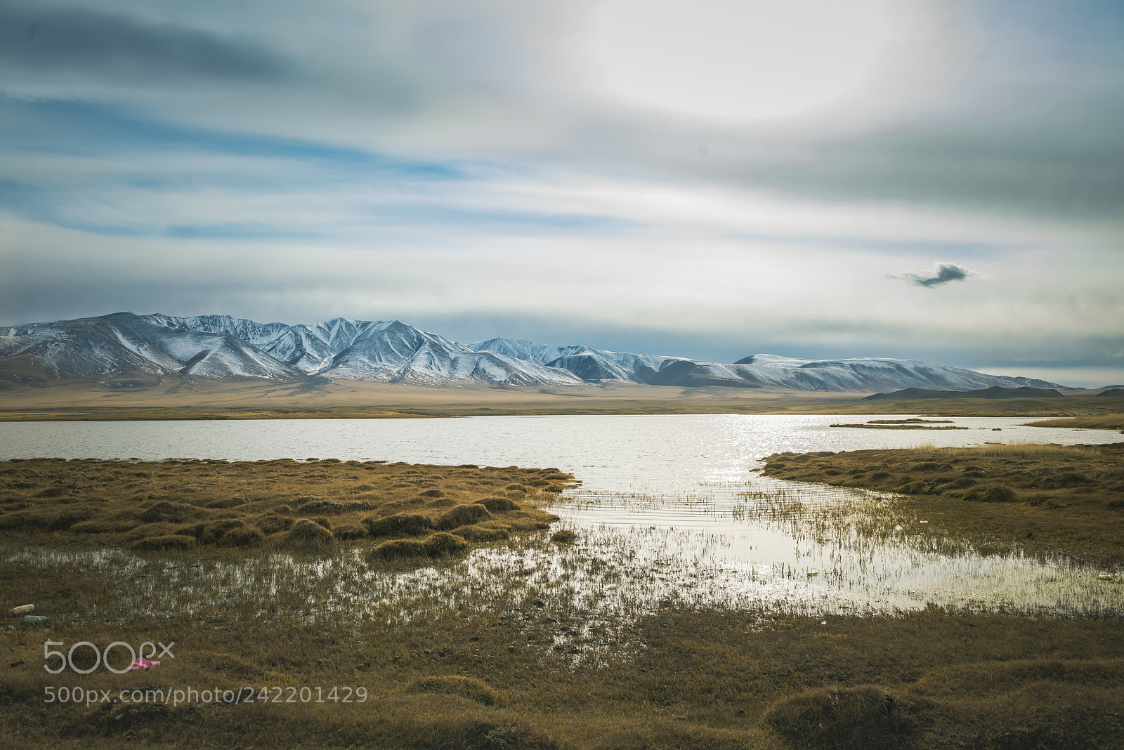 Nikon D800E sample photo. Mongolia photography