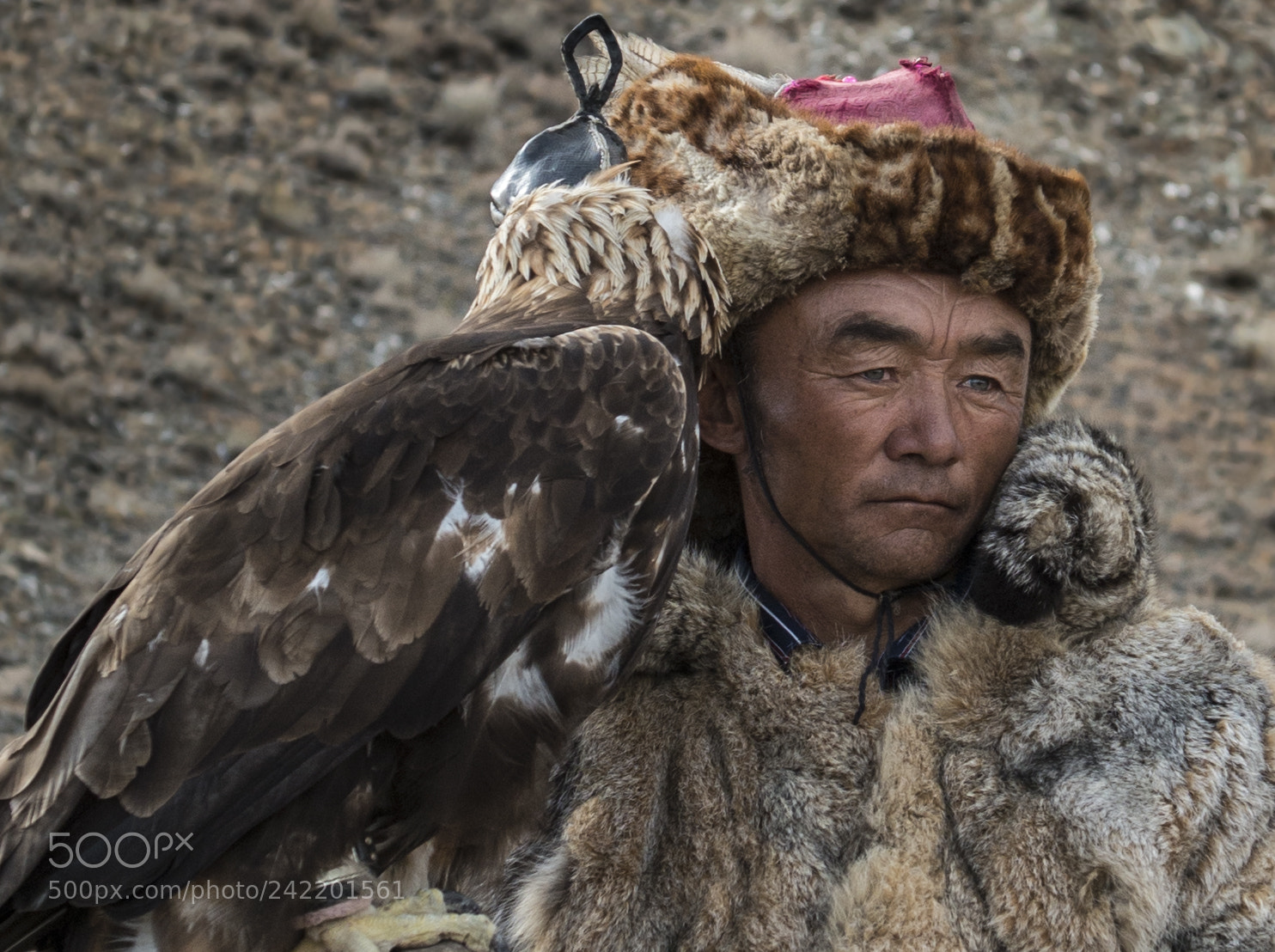 Nikon D800E sample photo. Mongolia photography