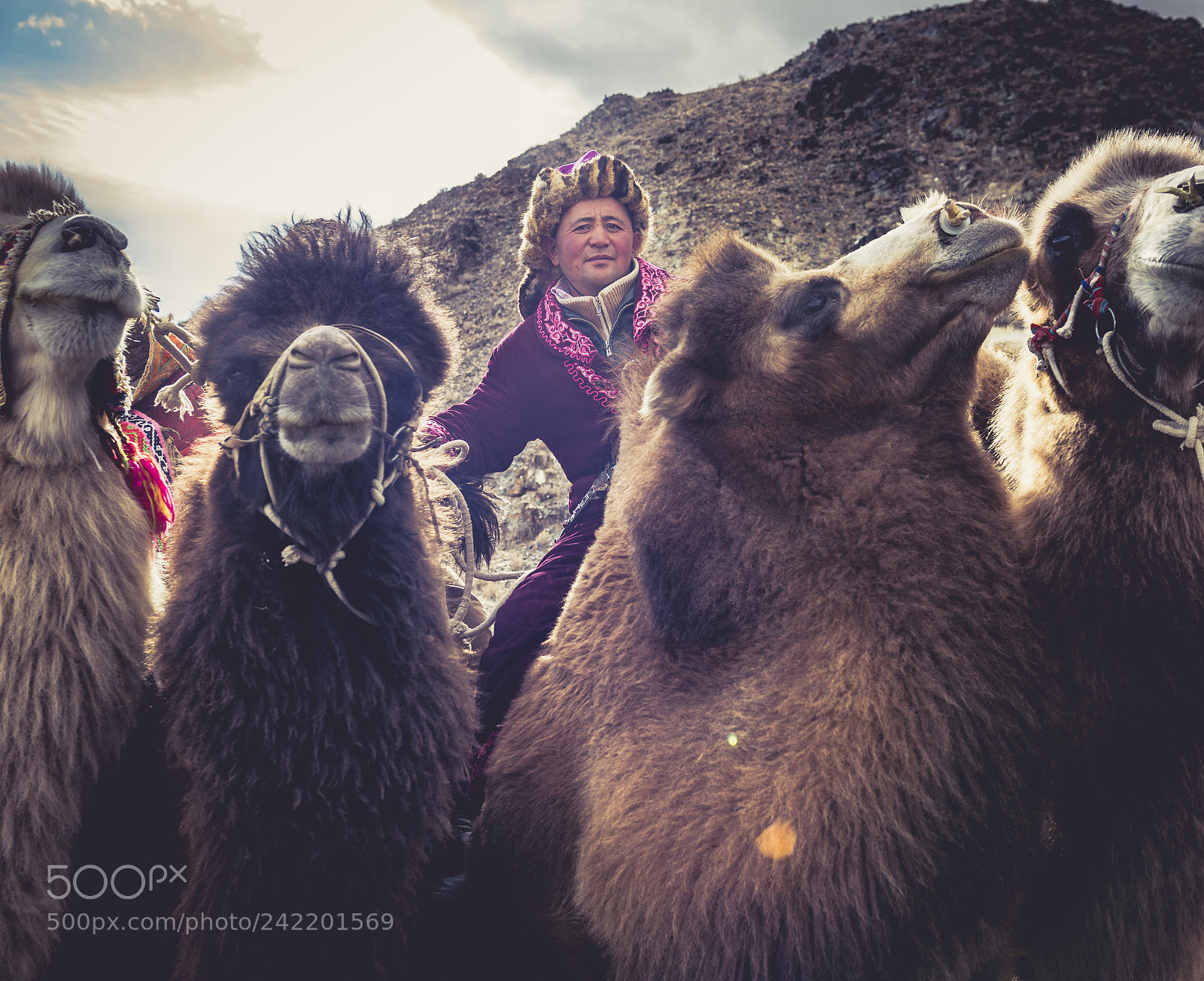 Nikon D800E sample photo. Mongolia photography