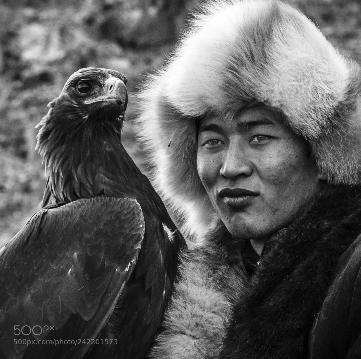 Nikon D800E sample photo. Mongolia photography