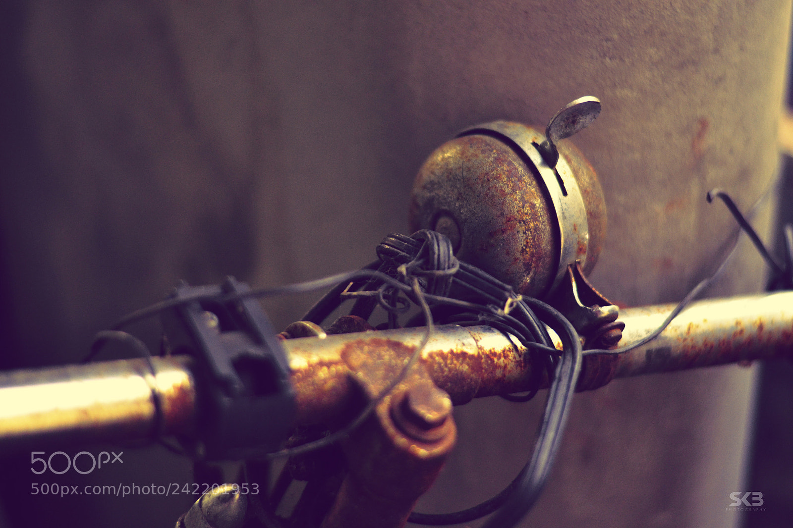 Nikon D3100 sample photo. Rusty bicycle photography