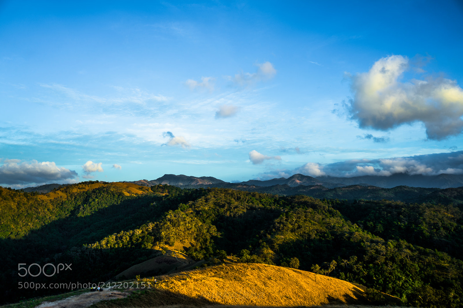 Sony a7 II sample photo. Untitled (of ) photography