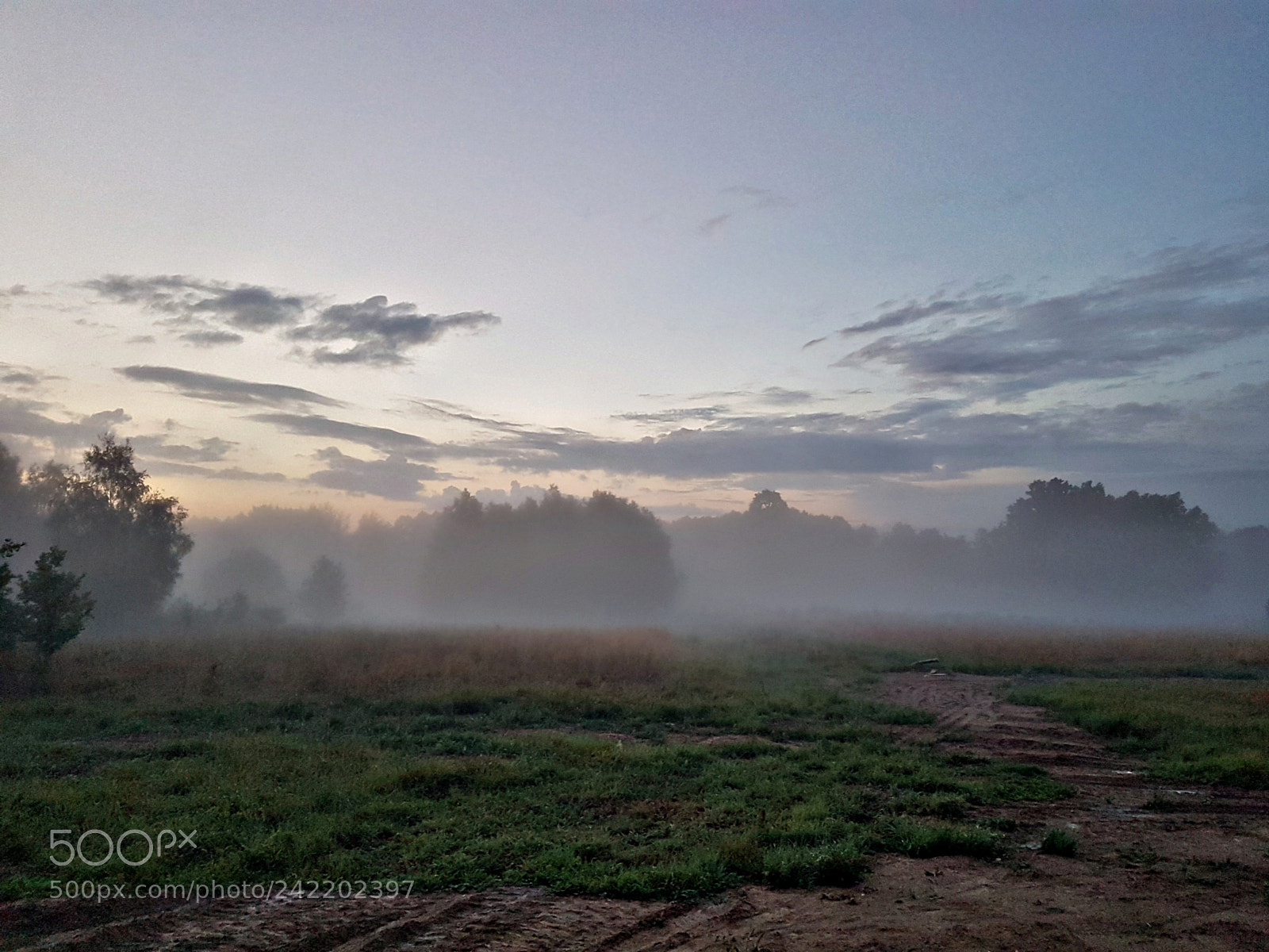 Samsung Galaxy S7 sample photo. Misty photography