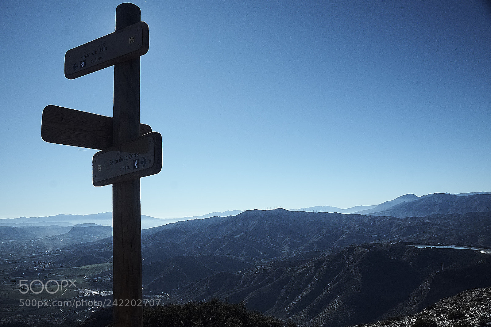 Sony ILCA-77M2 sample photo. Cruce de caminos photography