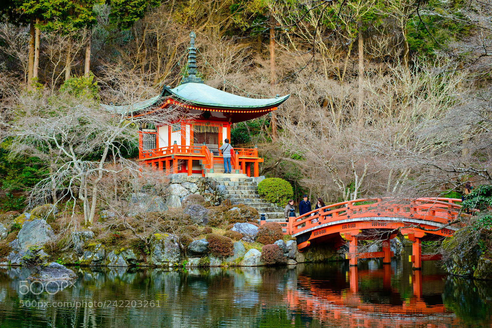 Nikon D800 sample photo. Daigoji temple photography