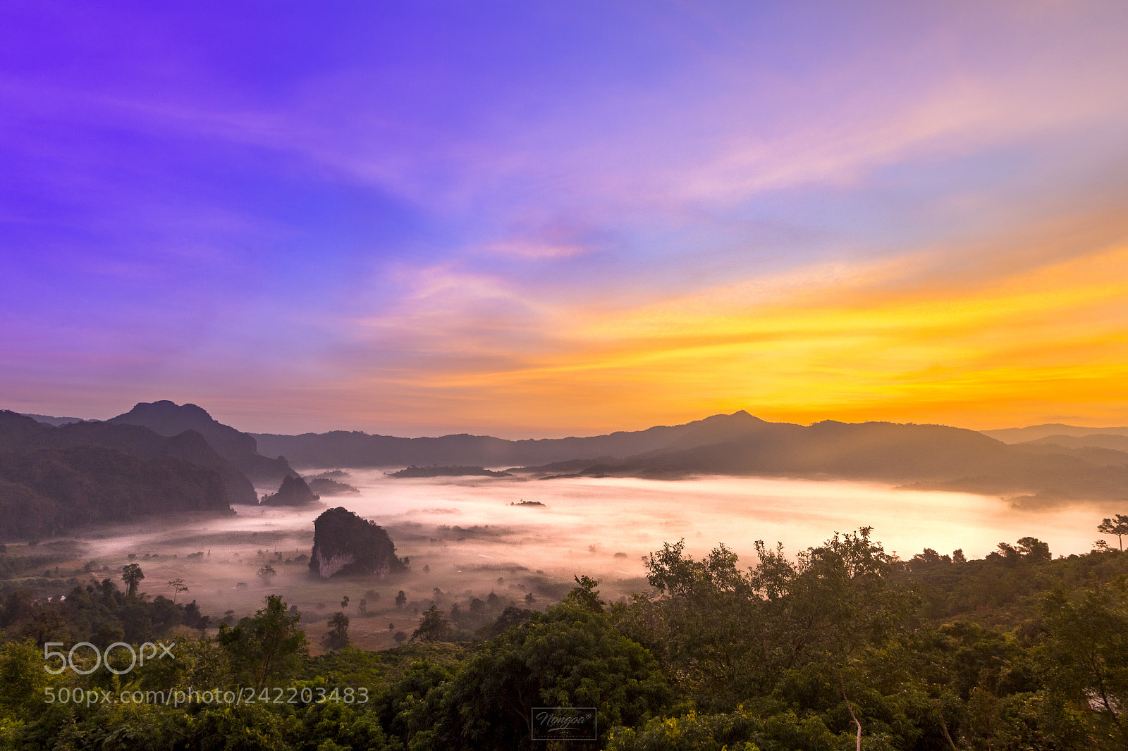 Canon EOS 600D (Rebel EOS T3i / EOS Kiss X5) sample photo. Fog while sunrise at photography