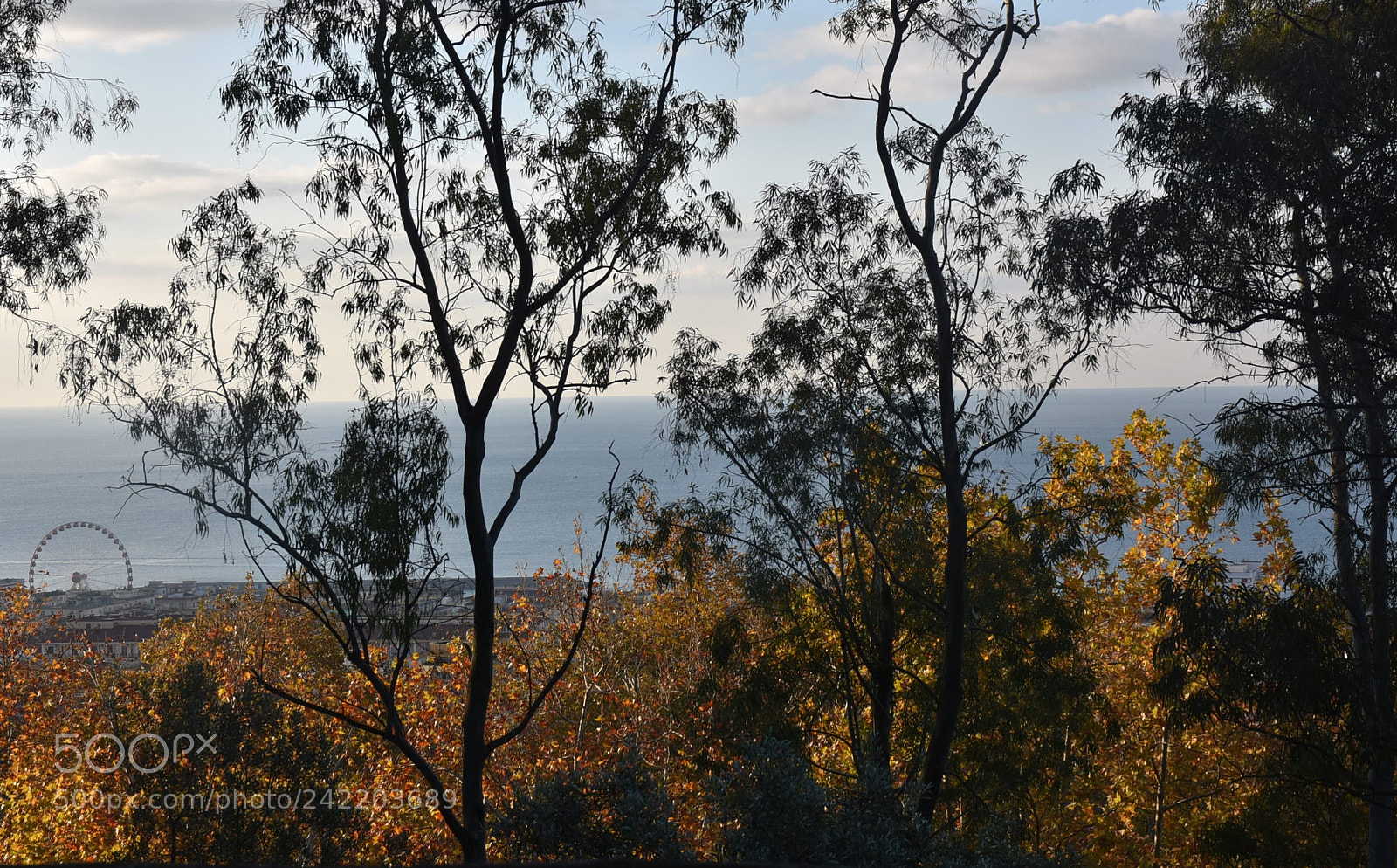 Nikon D7200 sample photo. Salerno photography