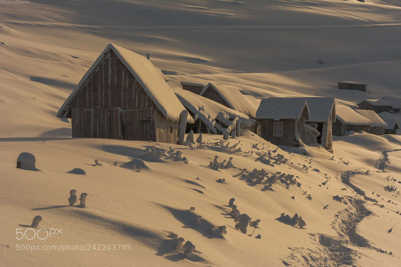 Nikon D7100 sample photo. Winter contrasts photography