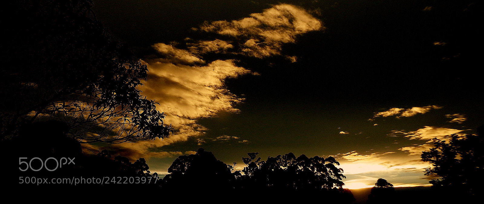 Fujifilm FinePix SL1000 sample photo. Day end .. photography