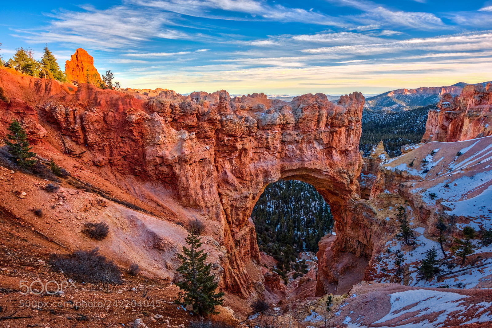 Nikon D810 sample photo. Natural bridge photography