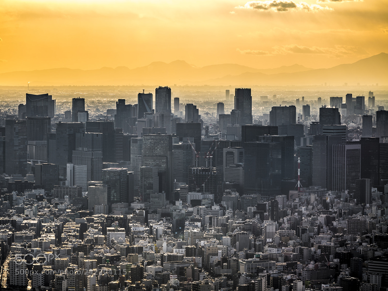 Nikon D5 sample photo. Big city tokyo photography