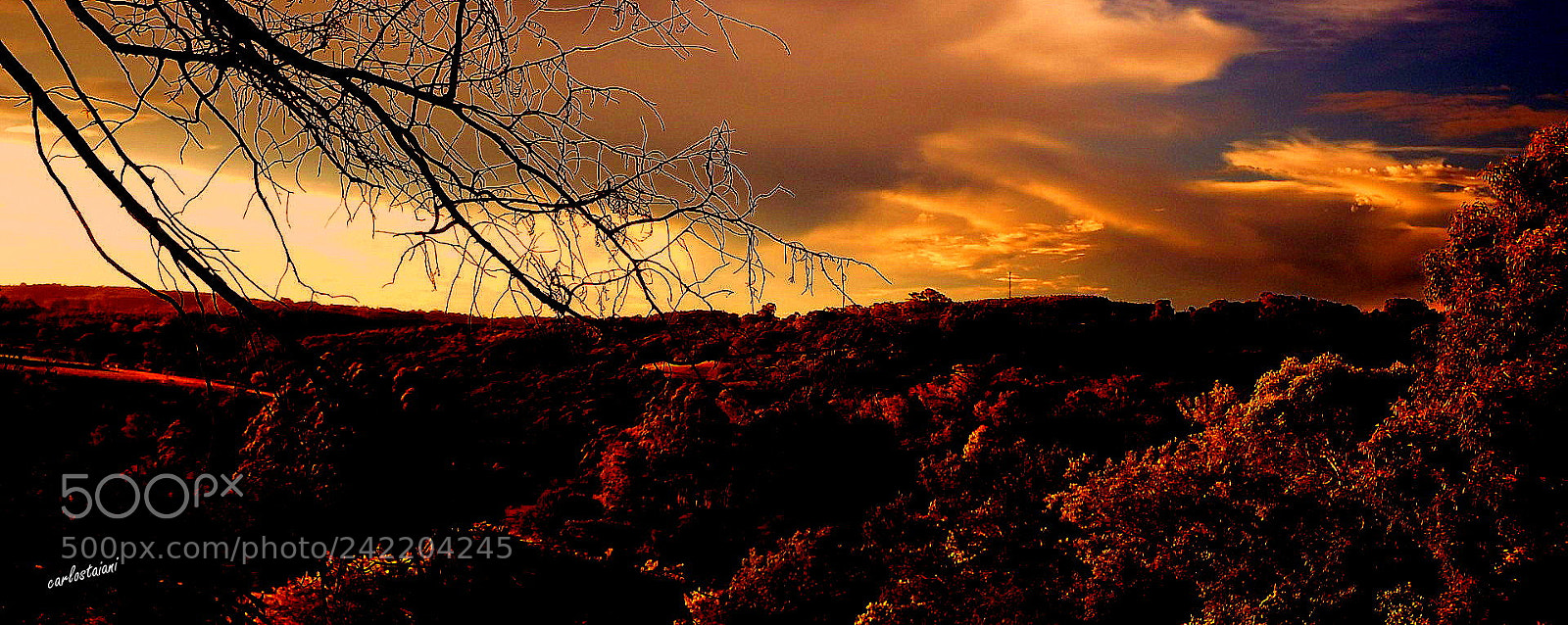 Fujifilm FinePix SL1000 sample photo. Golden valley ..... photography
