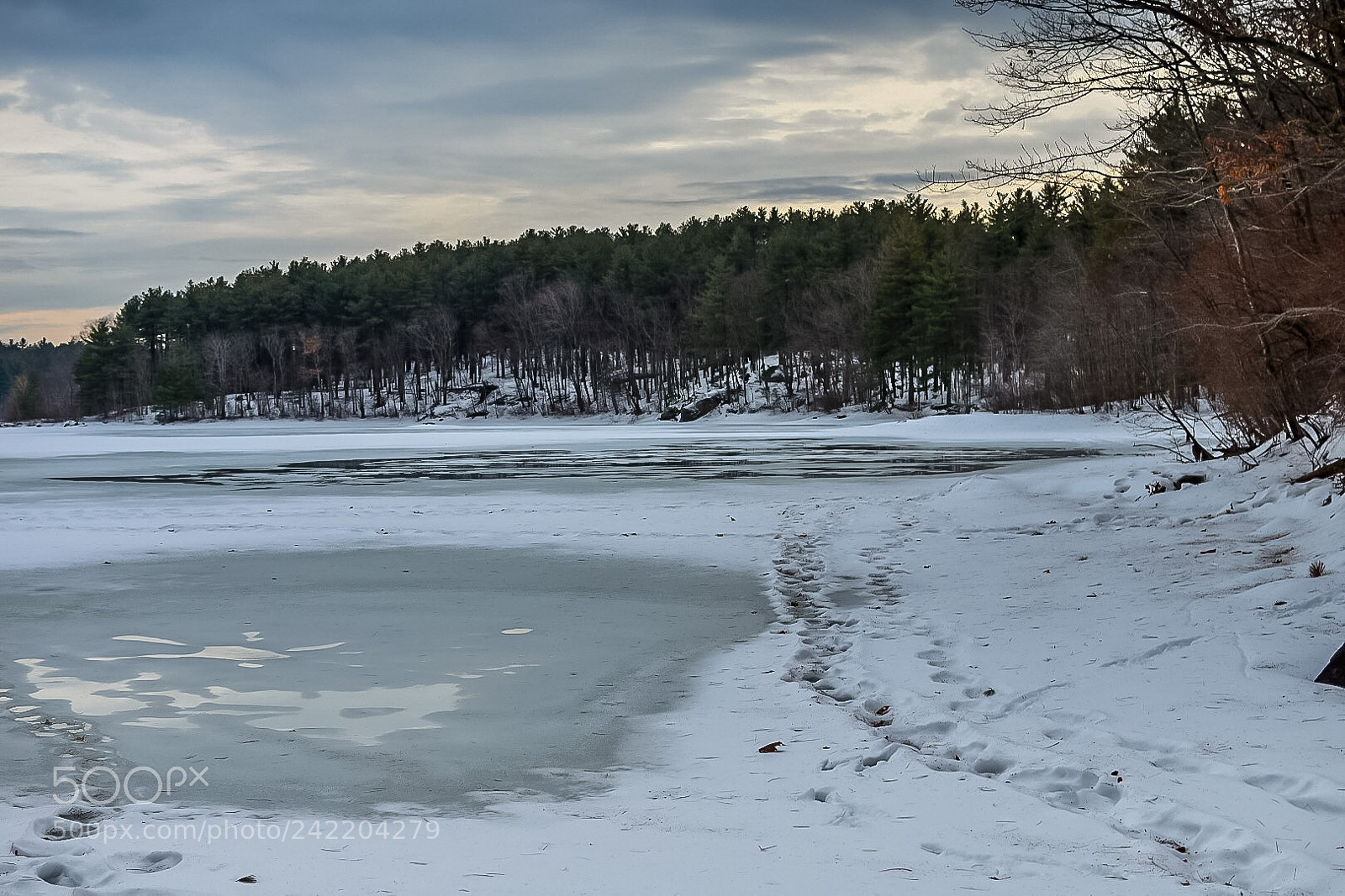 Nikon D7200 sample photo. 11 jan 18 photography
