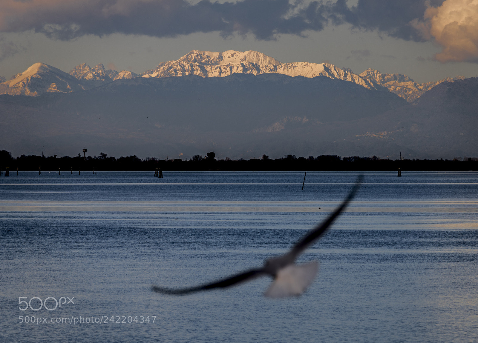 Canon EOS 750D (EOS Rebel T6i / EOS Kiss X8i) sample photo. Belvedere trabucco - lignano photography