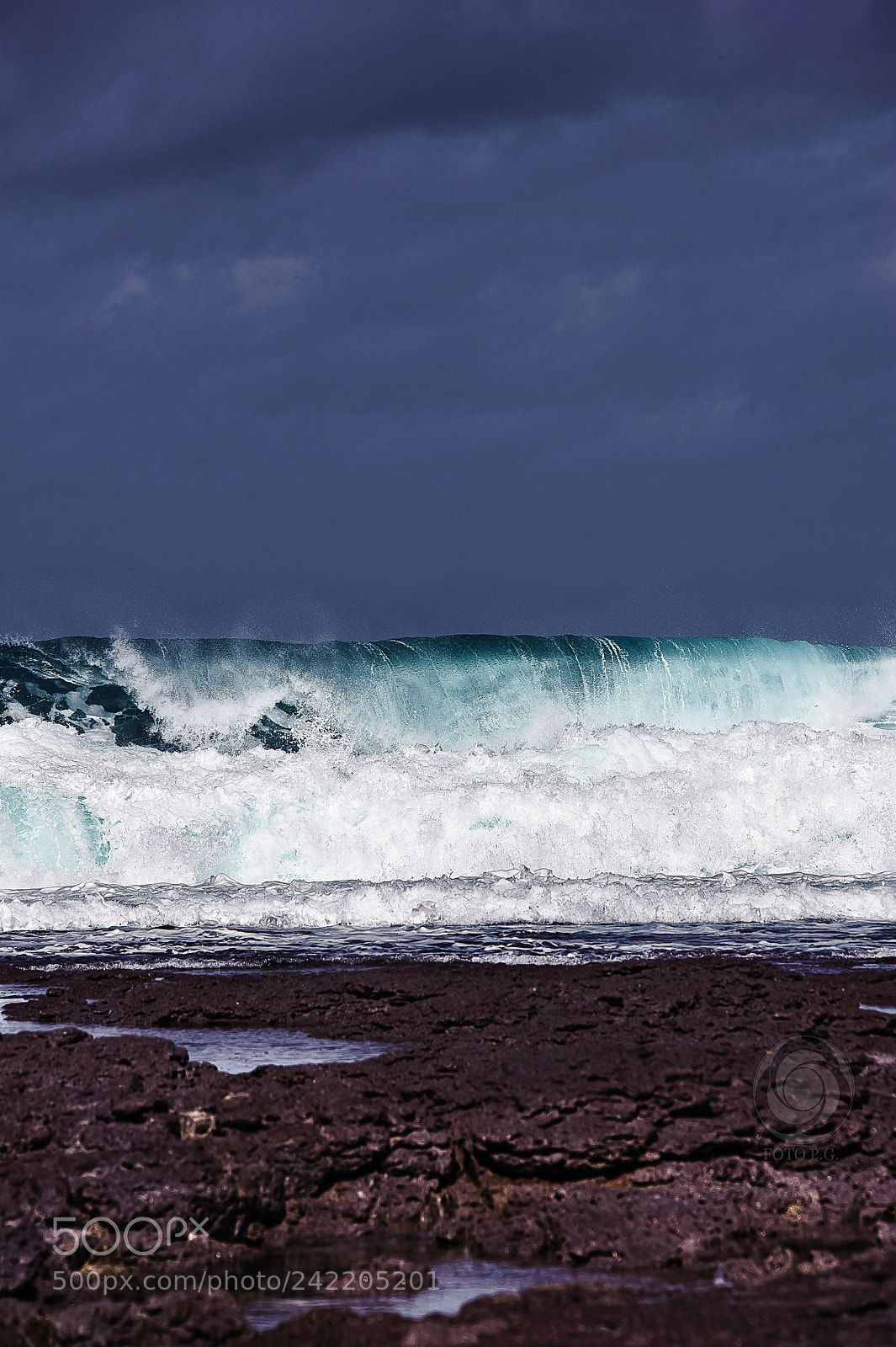 Nikon D3 sample photo. Wave carloforte, punta photography