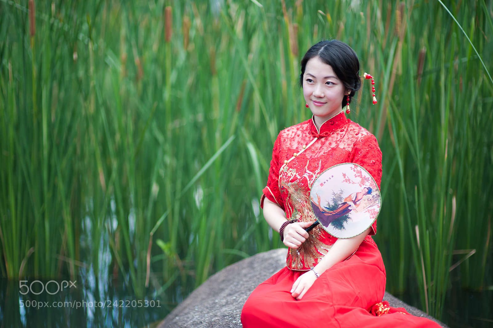 Nikon D700 sample photo. In red photography