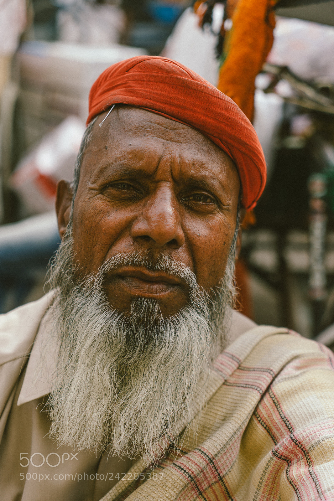 Sony a7 II sample photo. Delhi photography