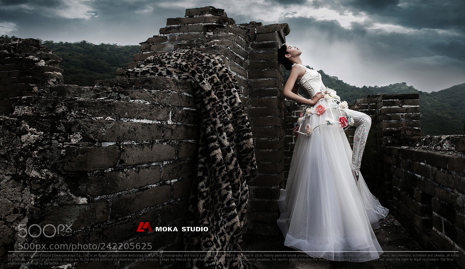 Nikon D810 sample photo. 古老与时尚【御莲 长城】 photography