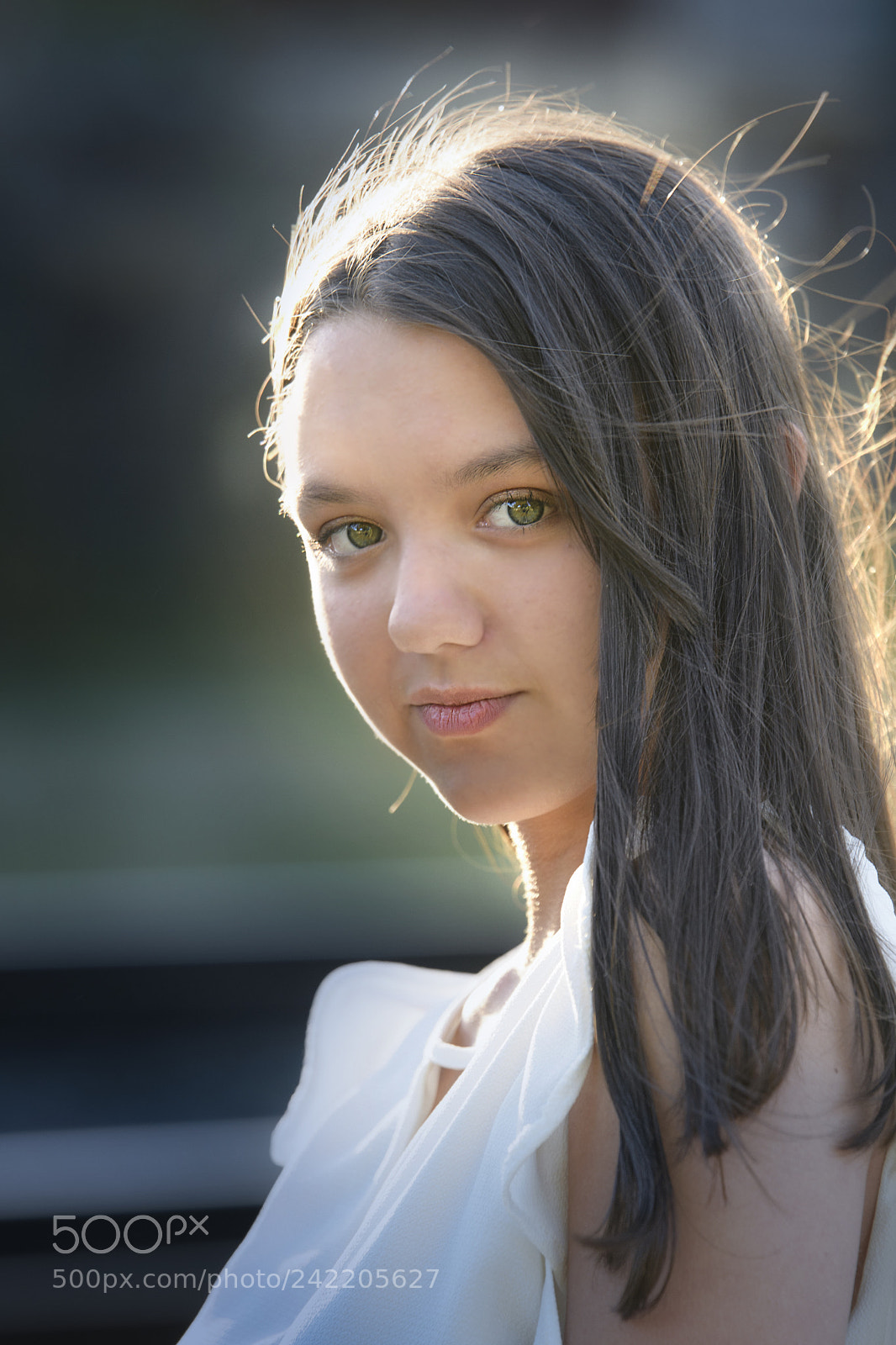 Nikon D500 sample photo. Catalina photography