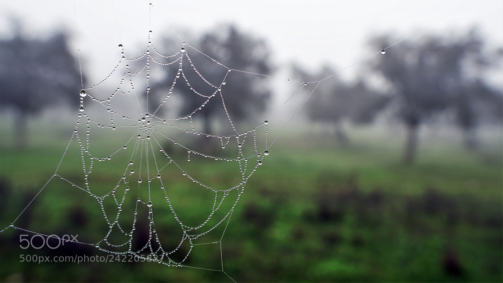Sony a6300 sample photo. Web photography