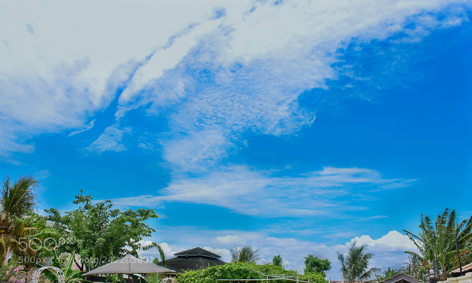 Nikon D7200 sample photo. Mot photography