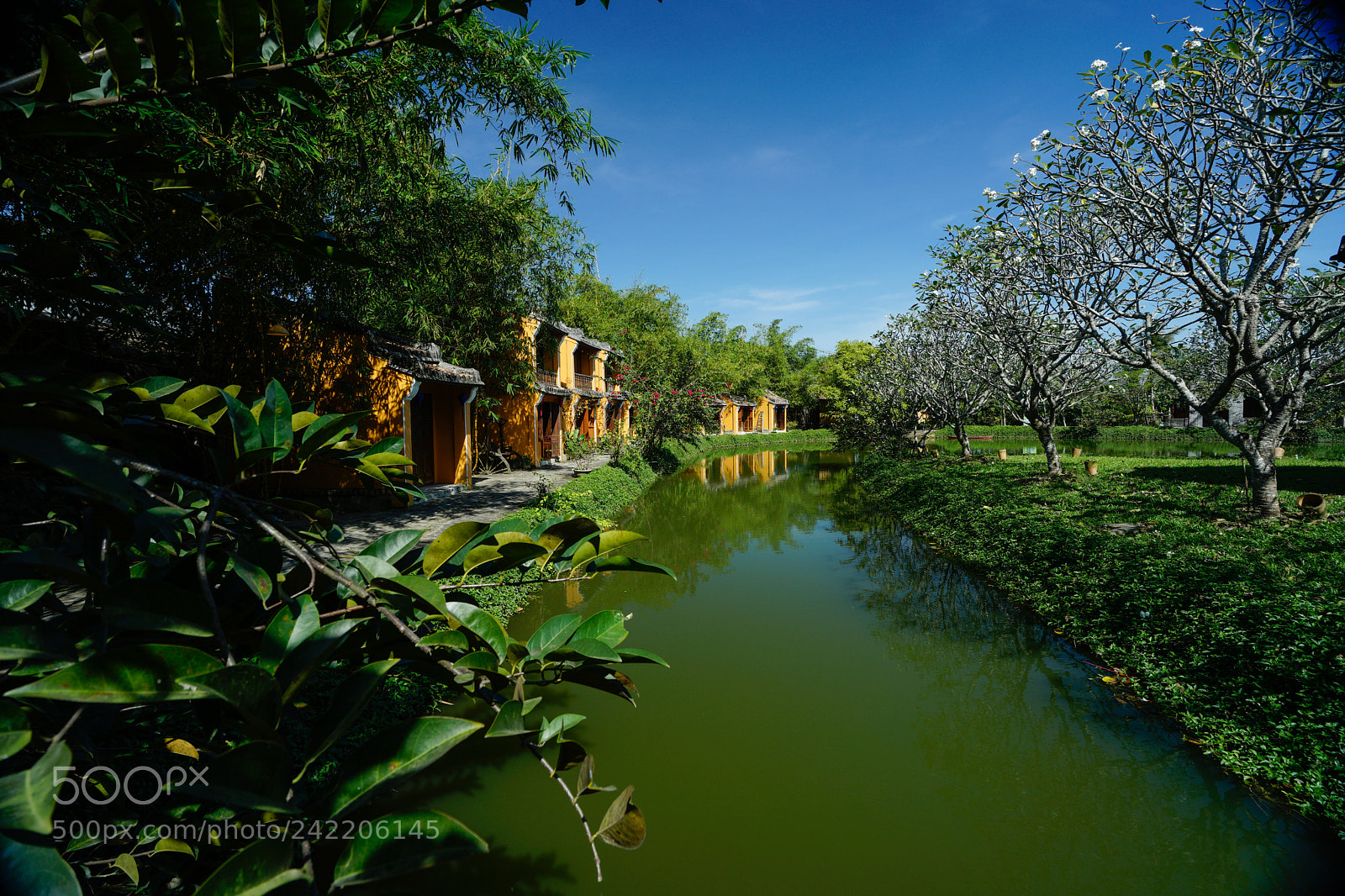 Sony a7 II sample photo. Untitled photography
