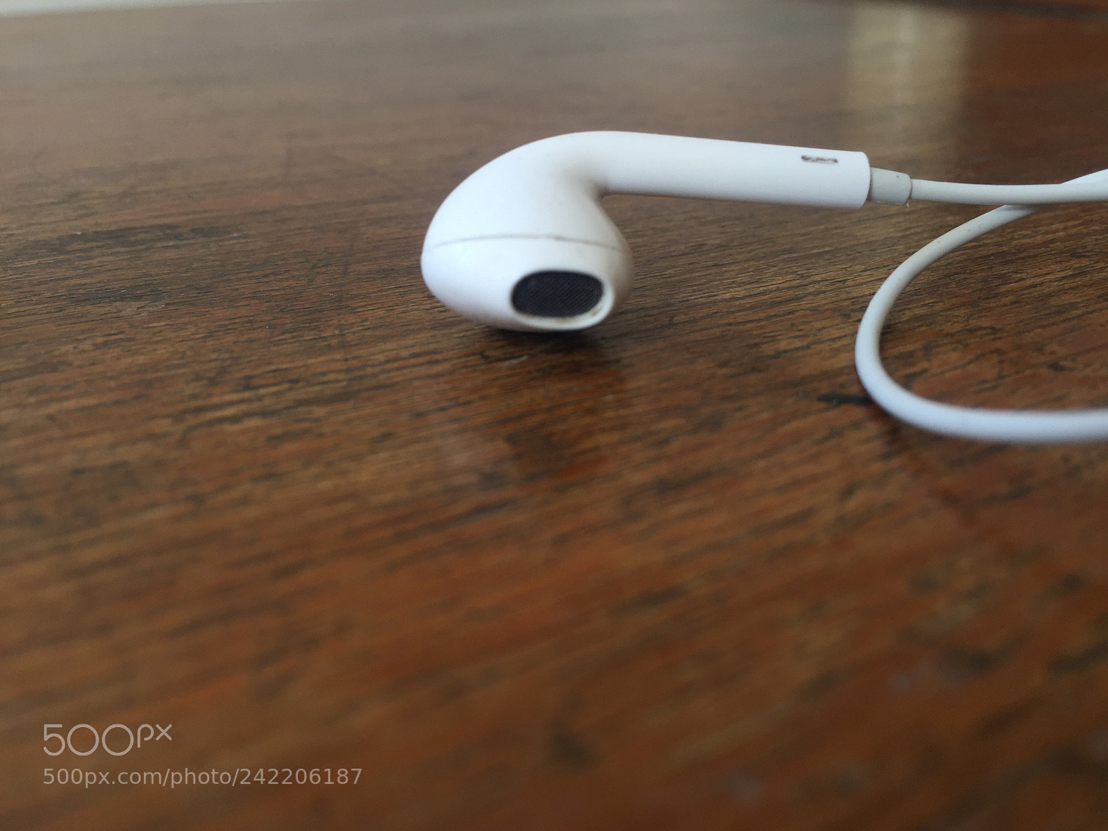 Apple iPhone 6 Plus sample photo. Phone photography