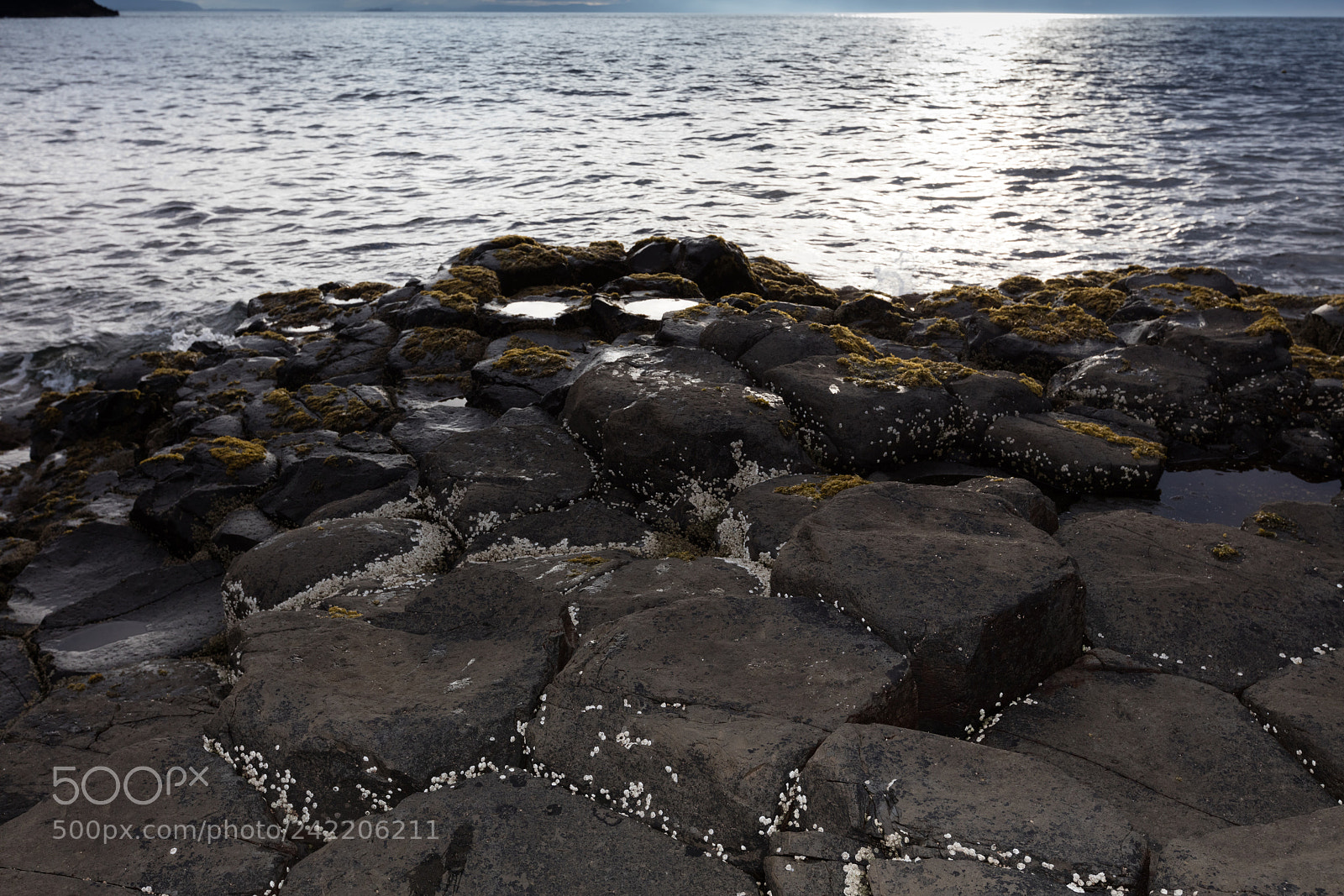 Canon EOS 5DS R sample photo. Giants causeway, northern ireland photography