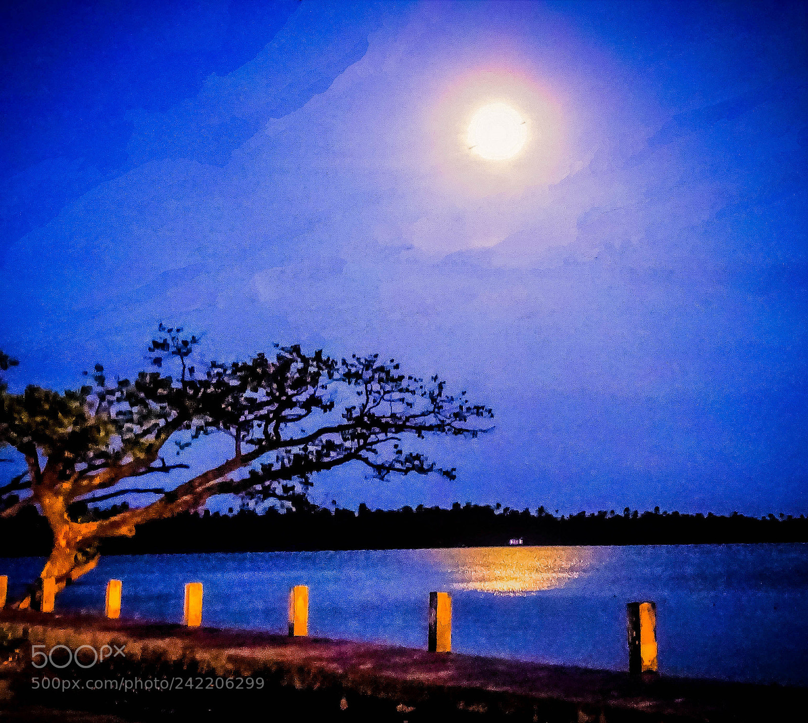 Sony Cyber-shot DSC-HX400V sample photo. Summer night photography