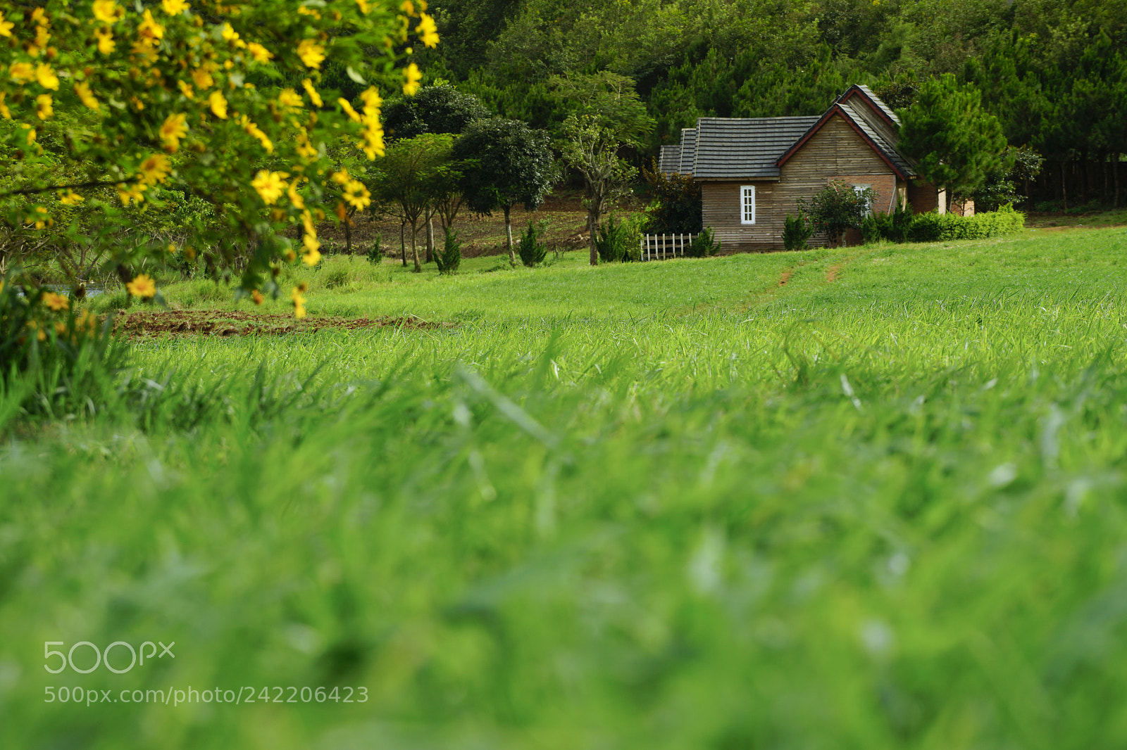 Sony a7 II sample photo. Untitled photography