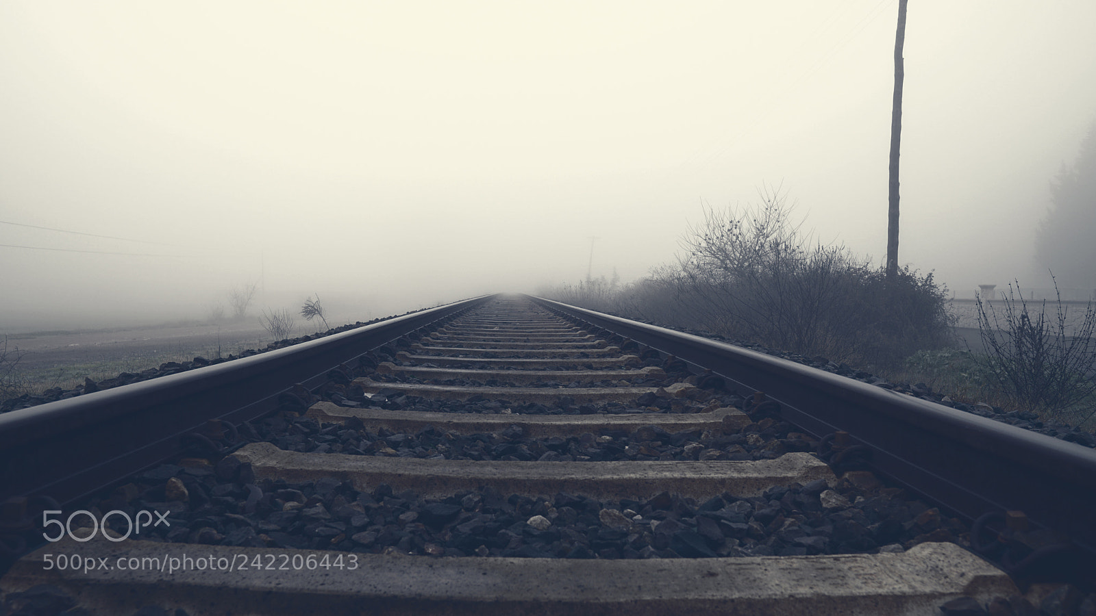 Sony a6300 sample photo. Fogy railway photography