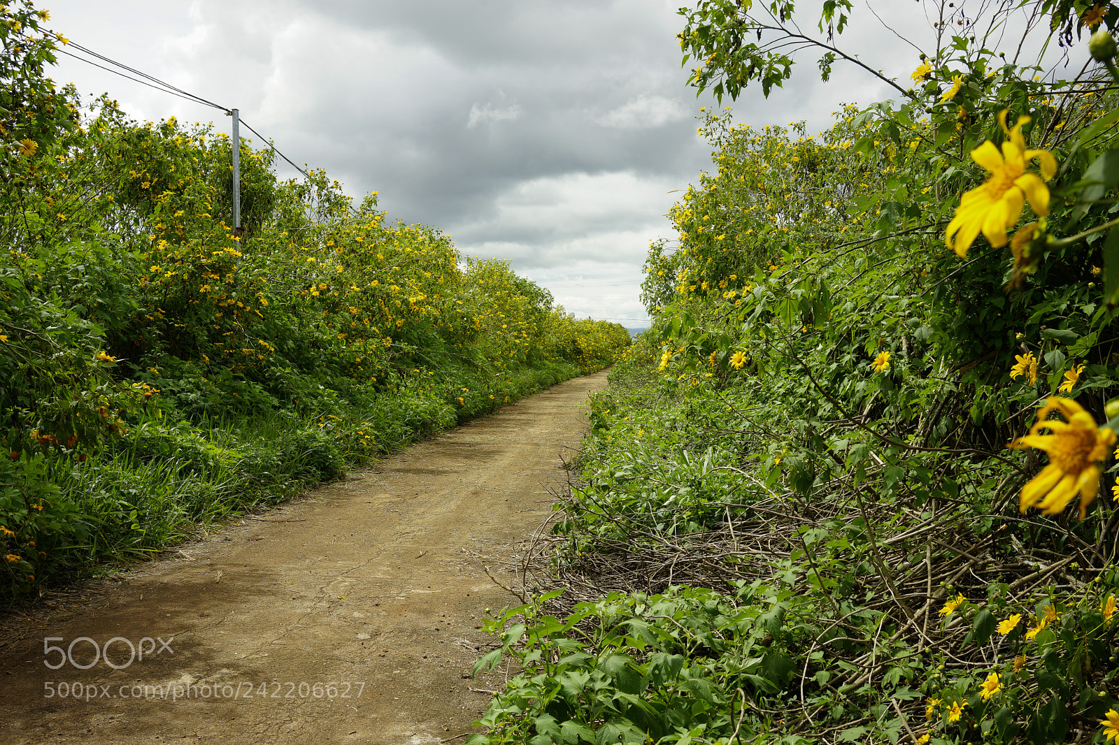 Sony a7 II sample photo. Untitled photography