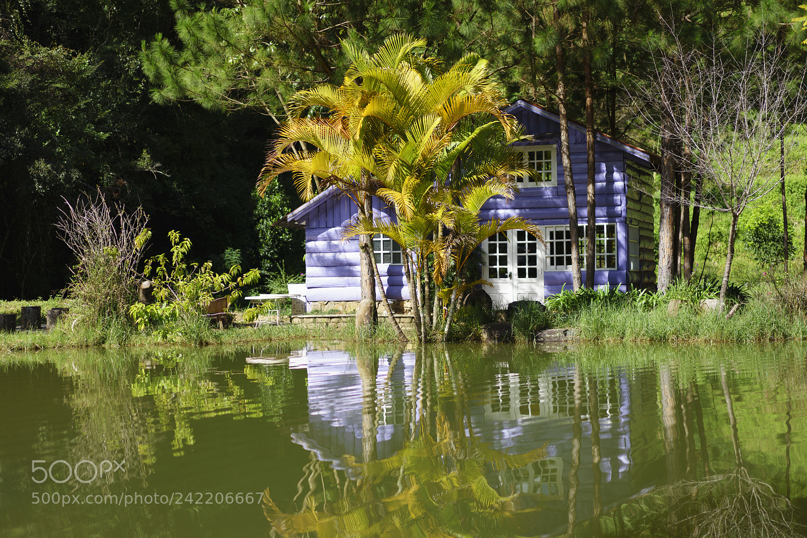 Sony a7 II sample photo. Untitled photography