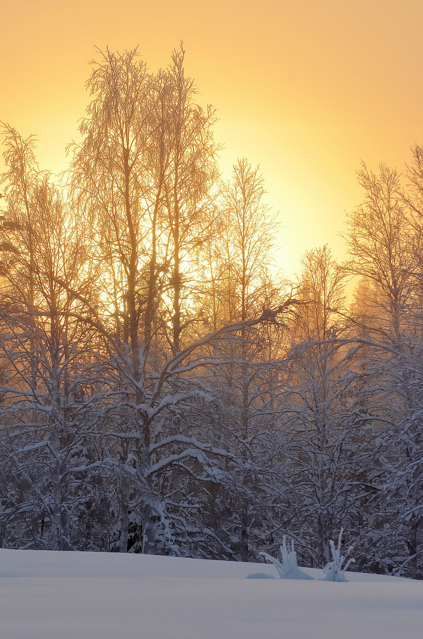 Tamron SP AF 70-200mm F2.8 Di LD (IF) MACRO sample photo. Winter light in lapland photography