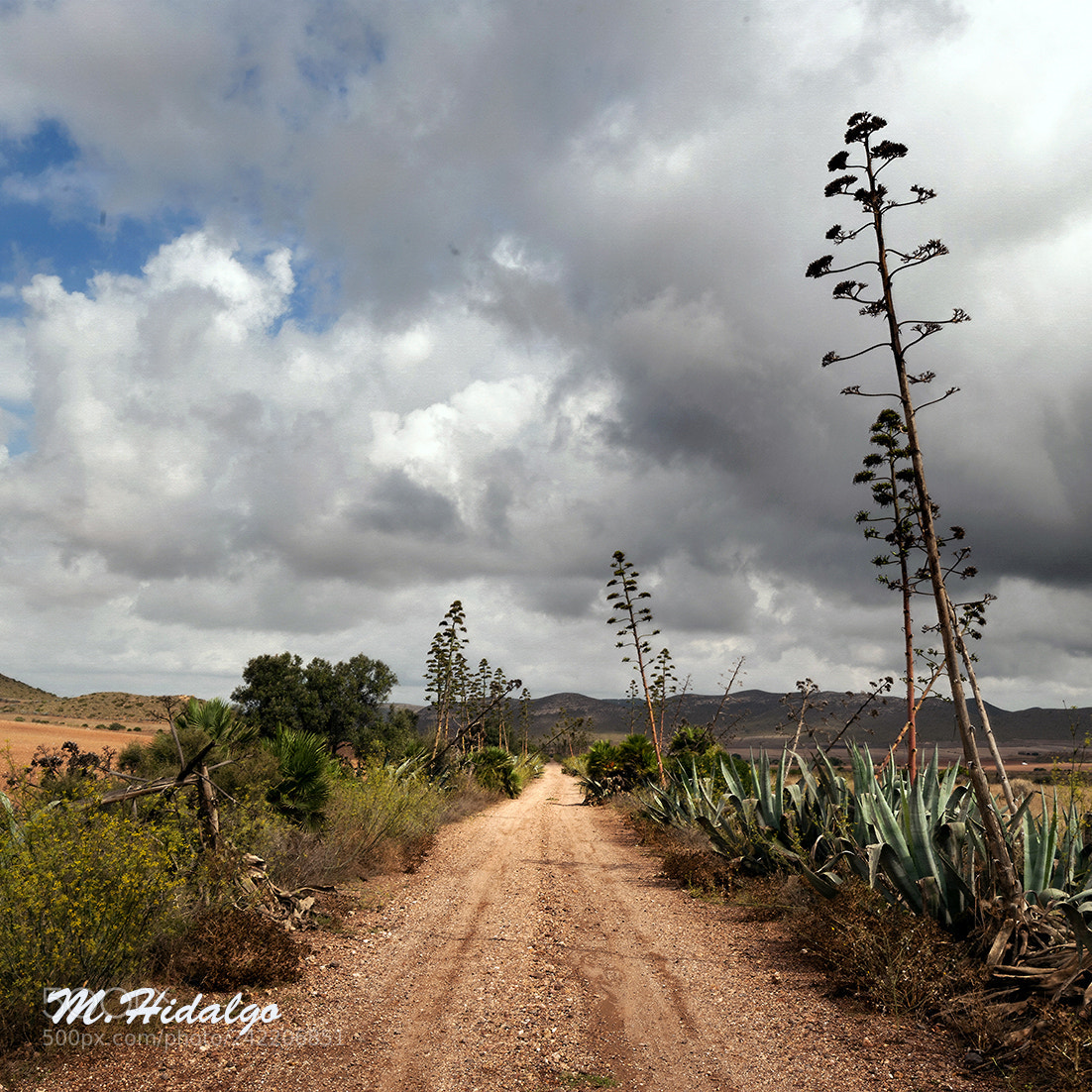 Nikon D700 sample photo. El camino photography