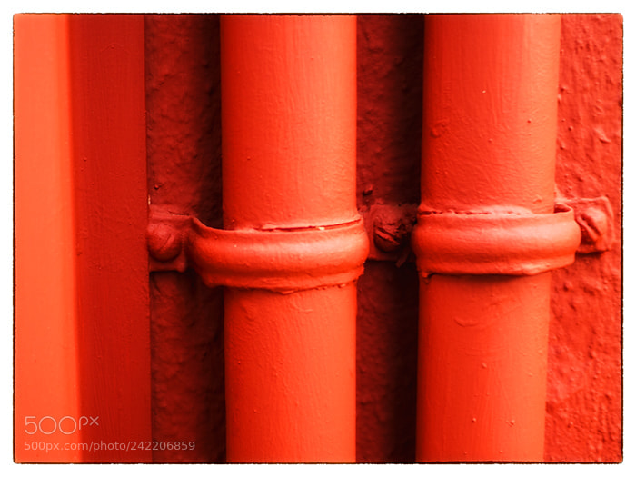Olympus OM-D E-M1 Mark II sample photo. . photography