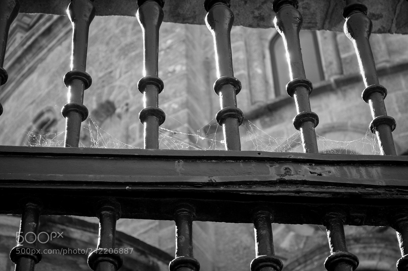 Canon EOS 1000D (EOS Digital Rebel XS / EOS Kiss F) sample photo. Reja puerta catedral santiago photography