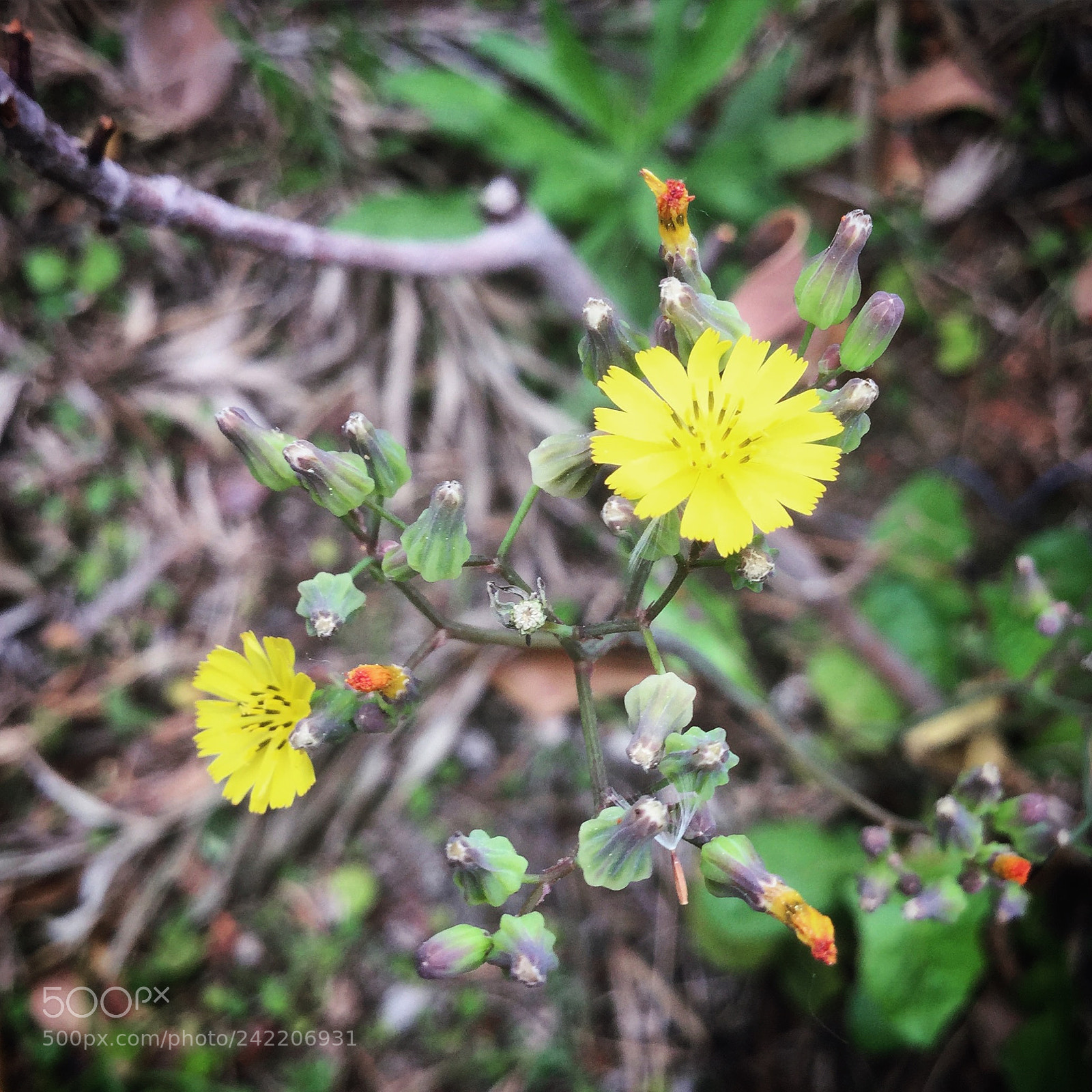 Apple iPad Air 2 sample photo. Untitled photography