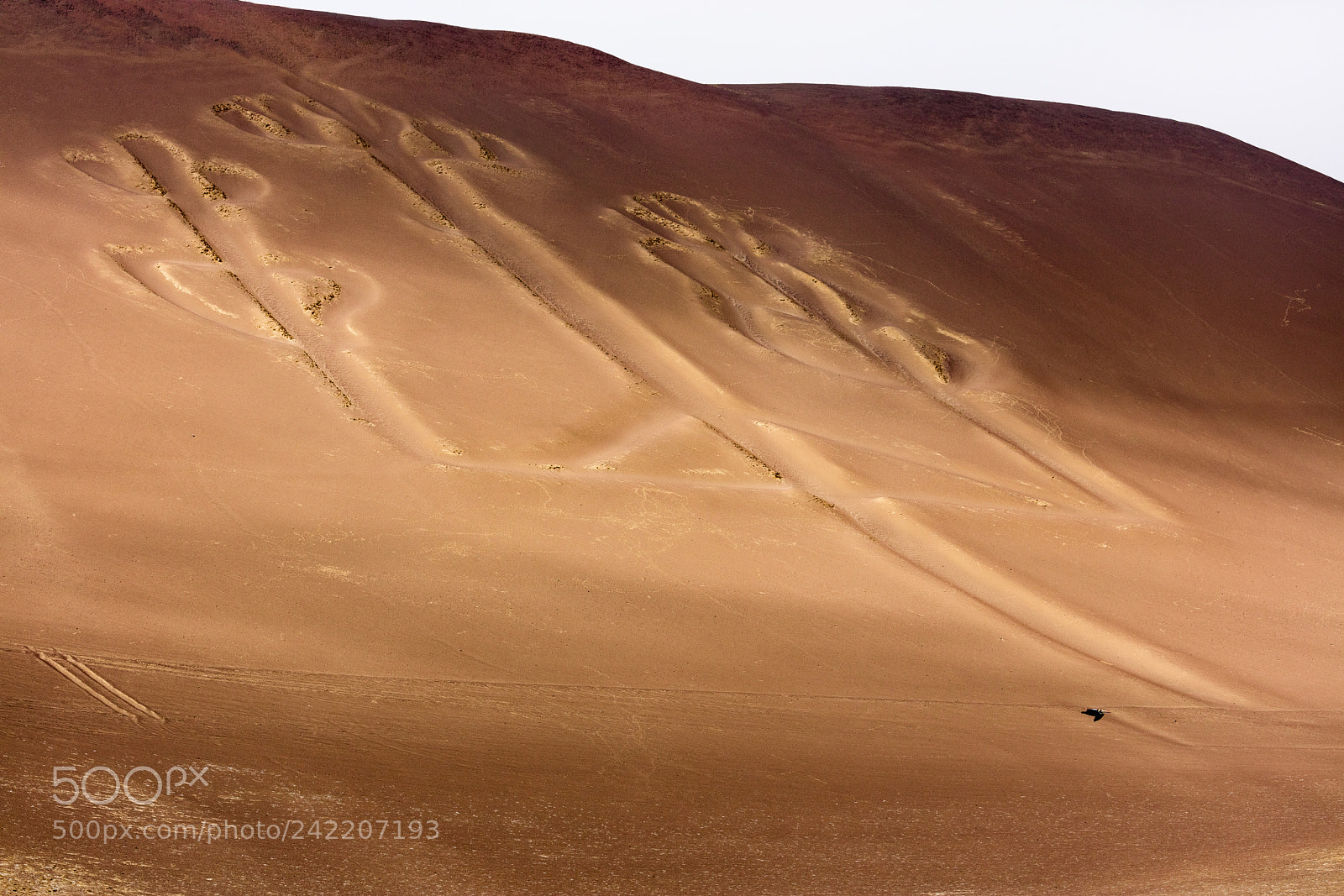 Canon EOS 5DS R sample photo. Ballestas candelabrum mark photography