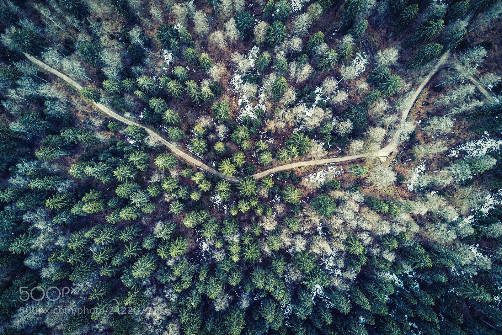 DJI FC220 sample photo. Lonely path photography
